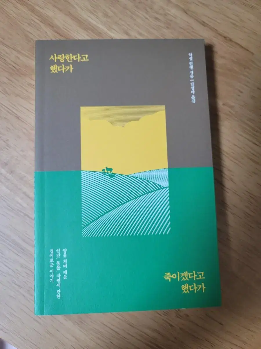 <사랑한다고 했다가 죽이겠다고 했다가>도서